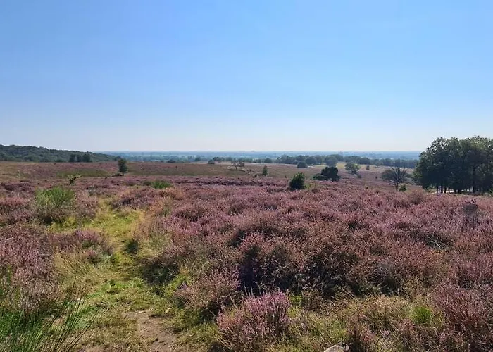 Aan De Bagijnstraat Heumen