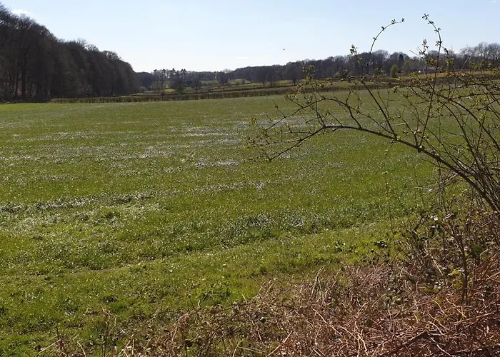 Aan De Bagijnstraat לינה וארוחת בוקר