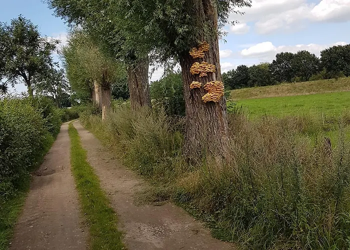 לינה וארוחת בוקר Aan De Bagijnstraat 4*