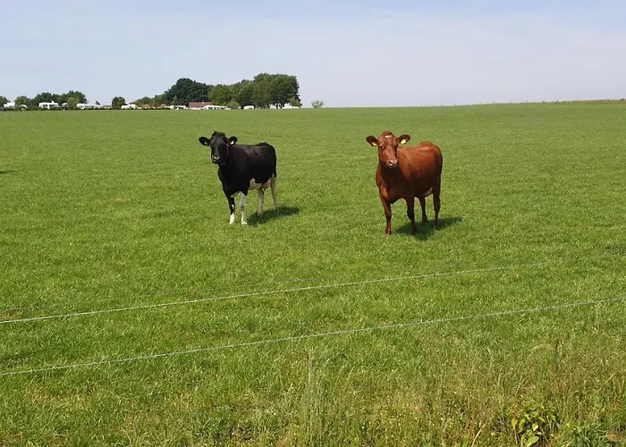 Aan De Bagijnstraat Heumen