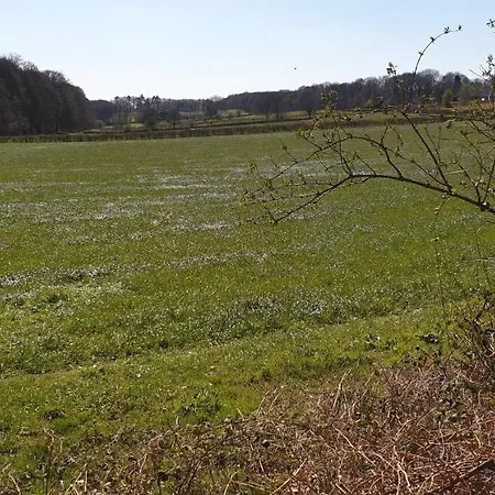 Aan De Bagijnstraat Bed & Breakfast