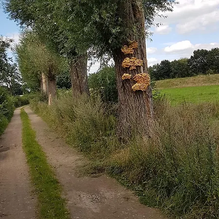 Bed & Breakfast Aan De Bagijnstraat 4*