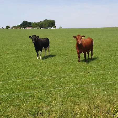 Aan De Bagijnstraat Heumen