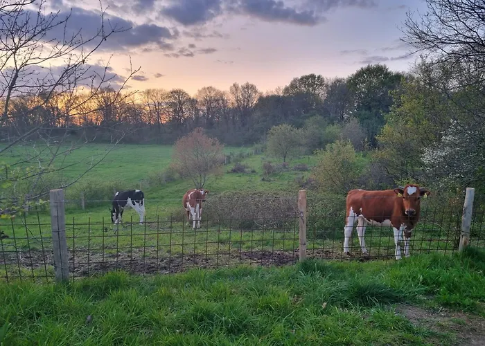Aan De Bagijnstraat 4* Heumen