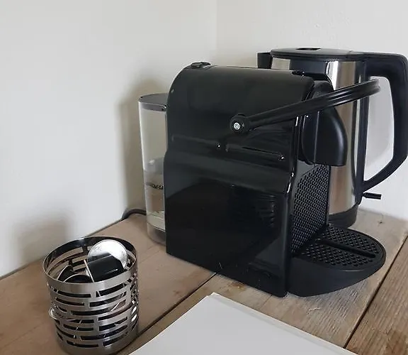 Bed & Breakfast Aan De Bagijnstraat 4*